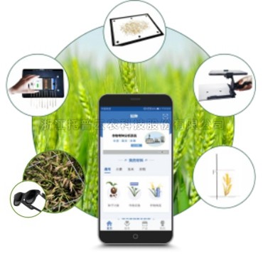 小麦表型检测仪TPM-BX-1/TPM-BX-2