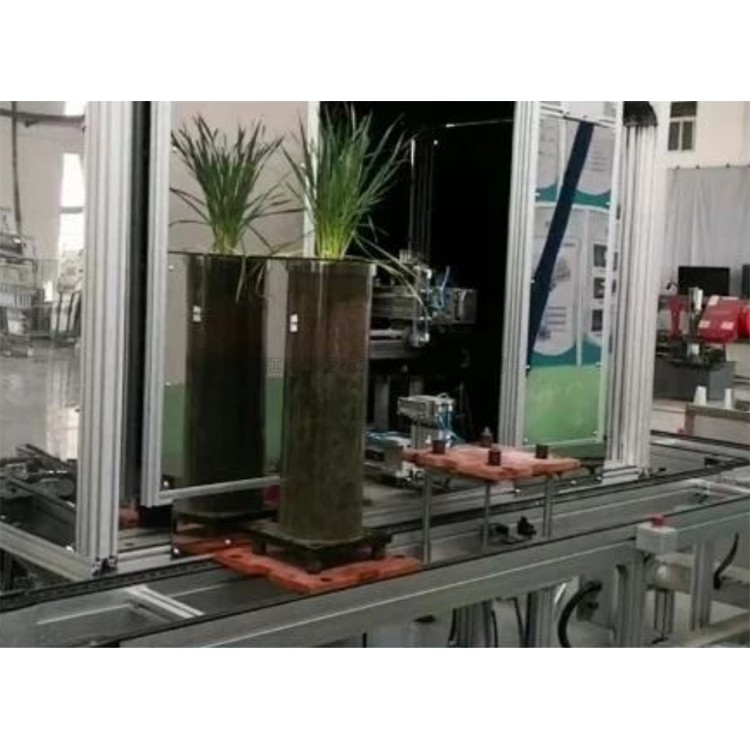 高通量植物根系表型采集分析系统(根筒式)TPN-GXY-GT