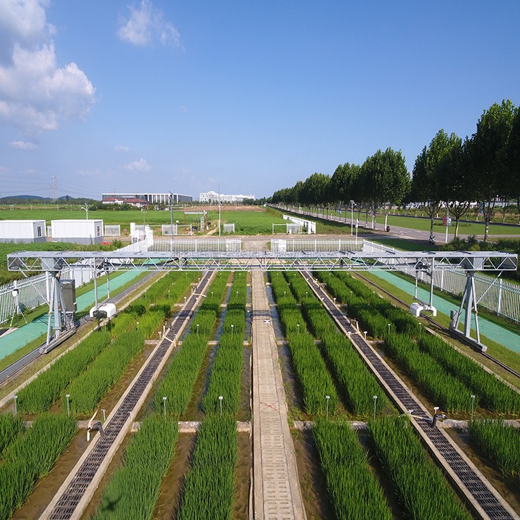 龙门式高通量表型采集分析平台(地轨式)TPN-GTL-GT1