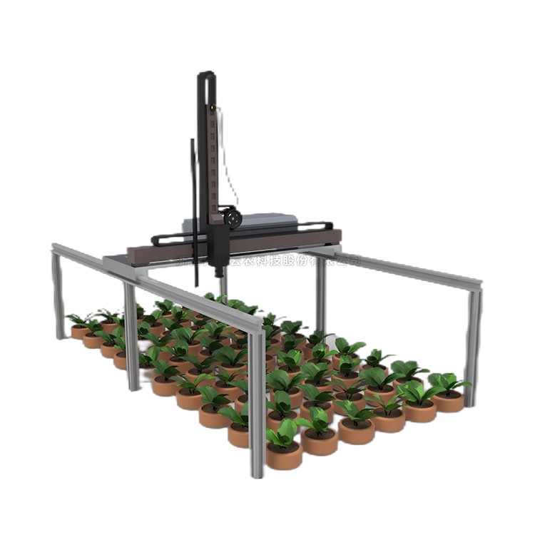 龙门式高通量表型采集分析平台(立柱式) TPN-GTL-GT2