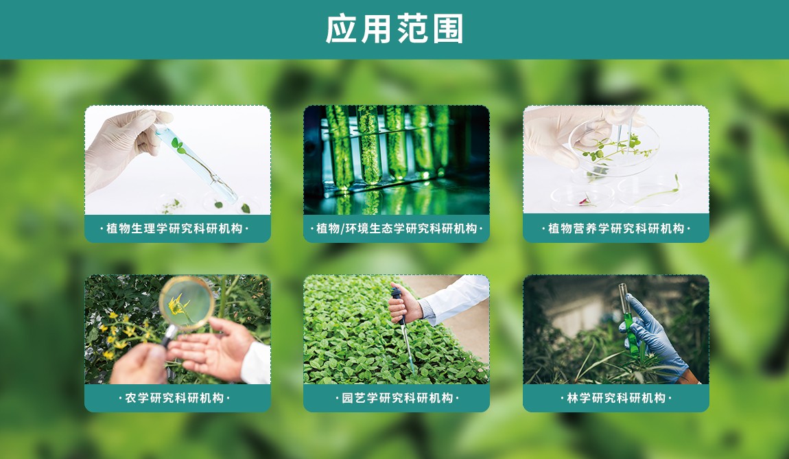 叶绿素含量测定仪应用范围