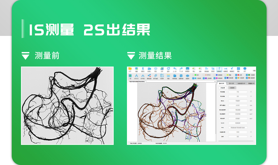 根系分析系统