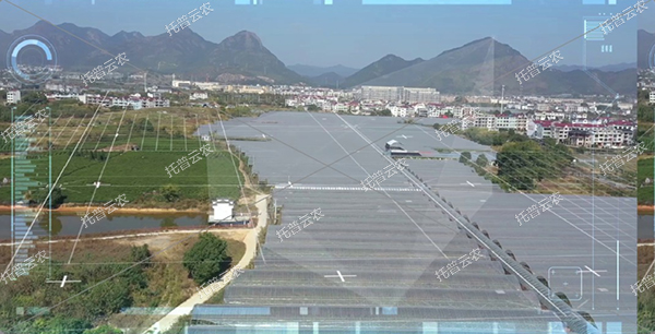 1685948359503652.jpg 2.jpg