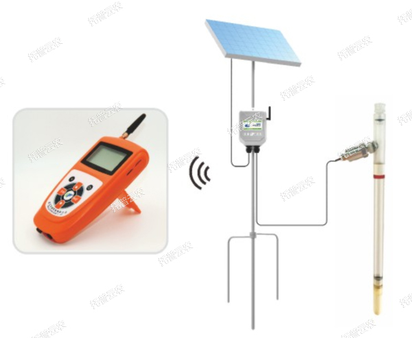 1685951731153725.jpg 10.jpg