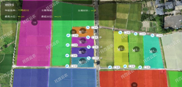 1685952132269805.jpg 18.jpg