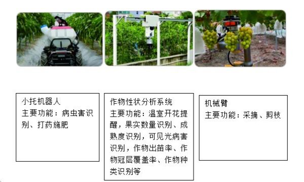 1695025822245248.jpg 2.jpg