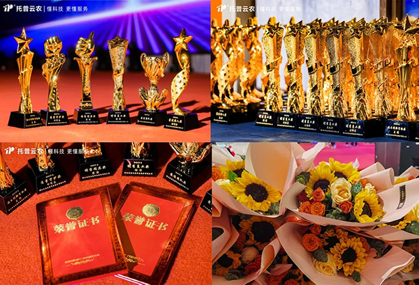 1707030015492512.png SEO6.png