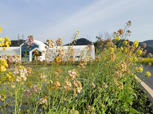 1715417859434035.jpg 2.jpg