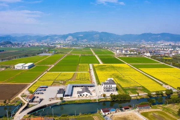 1718083846576150.jpg 4.jpg