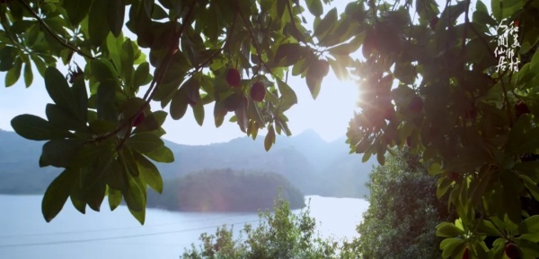 1719647064104002.jpg 7.webp_副本.jpg