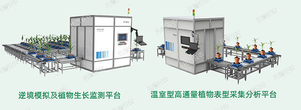 1724142593785501.jpg 2.jpg