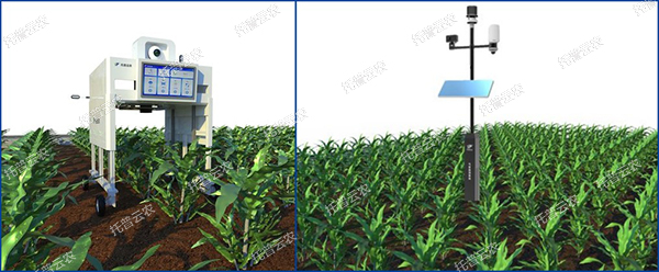 1724142721643063.jpg 4.jpg