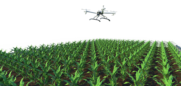 1729586355861195.png 7.png