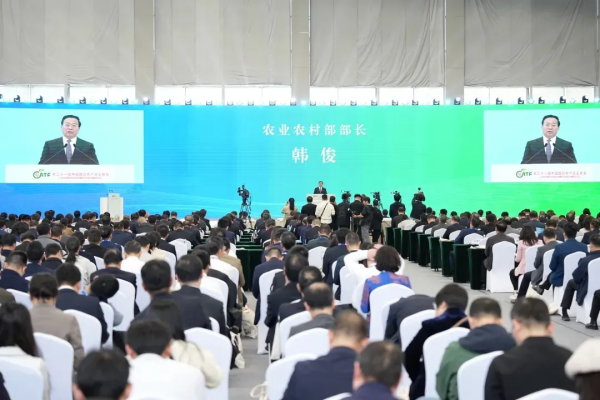 1733390787872136.png 图片1.png