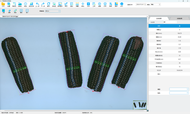 1739005541250332.png 5. 黑玉米果穗测定.png