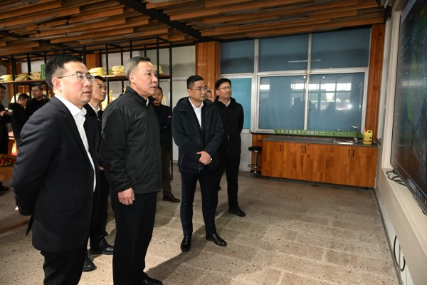 1741338995423138.jpg seo1.jpg