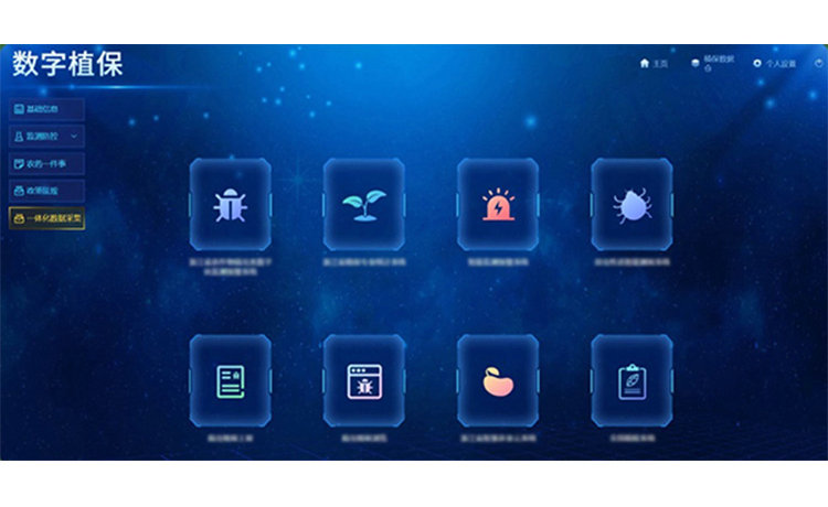 1743060077631292.jpg 5.jpg