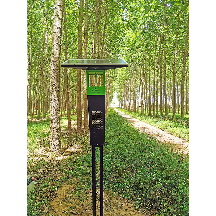 1743060187248258.jpg 10.jpg