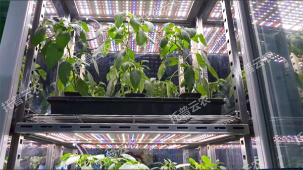 1744708291184099.png 图片3.png