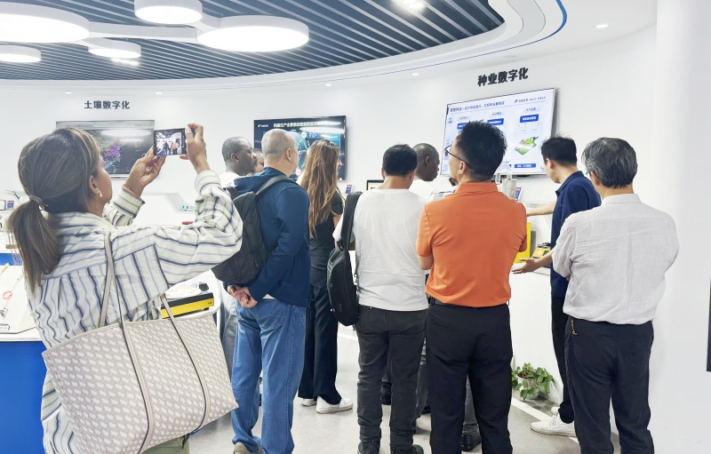 1748595090658675.jpg 4.jpg