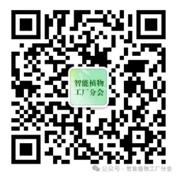 1749522484263099.png 4.png