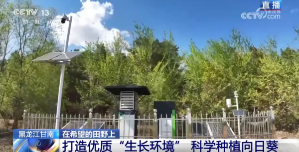 1749540065627697.png 图片3.png