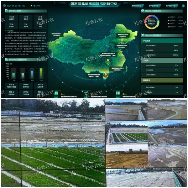 1752556976769890.jpg SEO (3).jpg