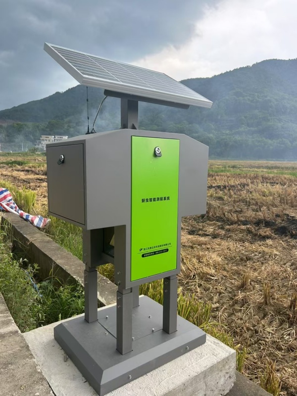 1754280261522711.jpg 麦田蚜虫布置照片_副本.jpg