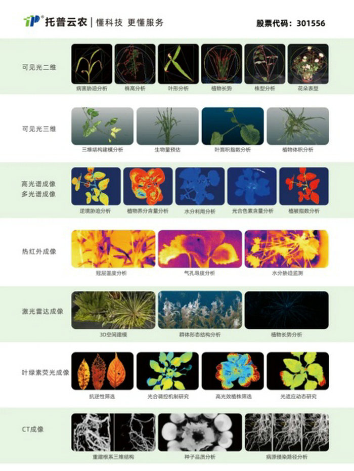 1756891767659297.jpg 4.jpg