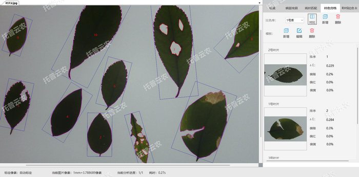 1757057629776515.png 叶色分档.png