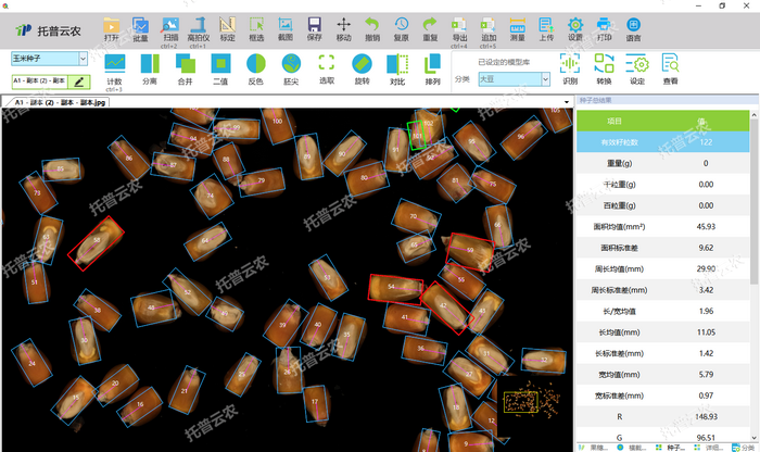 1757405903359739.png 高拍仪玉米籽粒分析.png