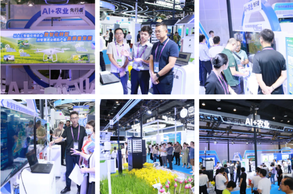 1758617767316273.png 图片2_副本.png